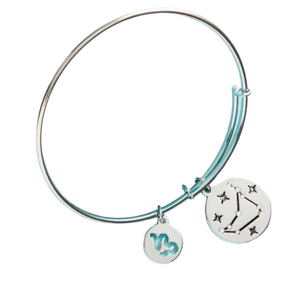 Capricorn Bangle Bracelet - Picture 3 of 4
